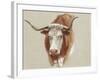 Colman Cow Portrait Study II-Samuel Colman-Framed Art Print