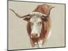 Colman Cow Portrait Study II-Samuel Colman-Mounted Premium Giclee Print