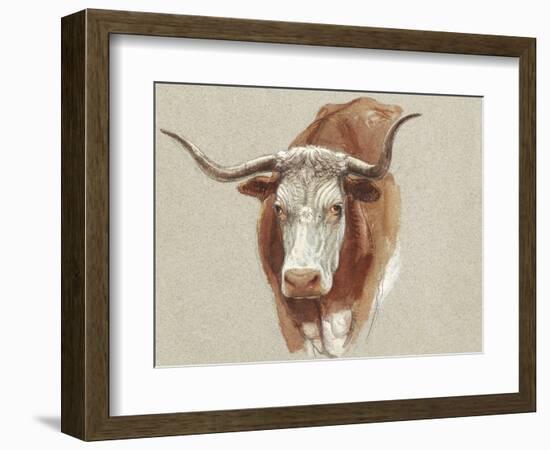 Colman Cow Portrait Study II-Samuel Colman-Framed Art Print