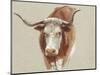 Colman Cow Portrait Study II-Samuel Colman-Mounted Art Print
