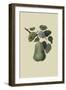 Colmart Pear-William Hooker-Framed Art Print