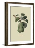 Colmart Pear-William Hooker-Framed Art Print