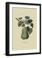 Colmart Pear-William Hooker-Framed Art Print