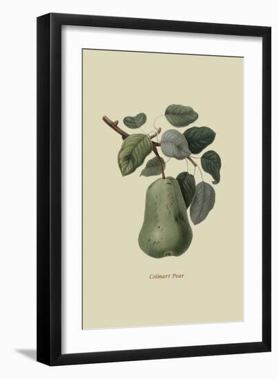 Colmart Pear-William Hooker-Framed Art Print