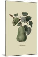 Colmart Pear-William Hooker-Mounted Art Print