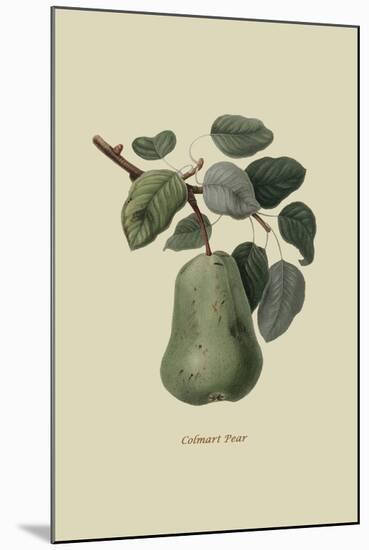 Colmart Pear-William Hooker-Mounted Art Print