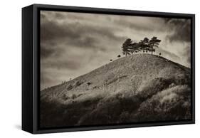 Colmers Hill-Tim Kahane-Framed Stretched Canvas