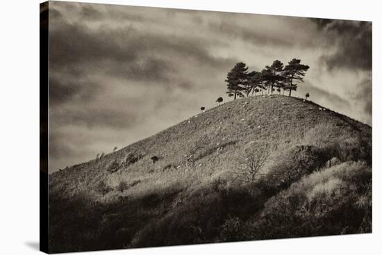 Colmers Hill-Tim Kahane-Stretched Canvas