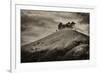 Colmers Hill-Tim Kahane-Framed Photographic Print