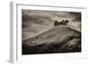 Colmers Hill-Tim Kahane-Framed Photographic Print