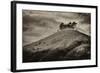 Colmers Hill-Tim Kahane-Framed Photographic Print