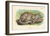 Colocolo, 1896-null-Framed Giclee Print