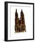 Cologne Cathedral, 1966, ink drawing,-null-Framed Giclee Print