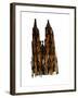 Cologne Cathedral, 1966, ink drawing,-null-Framed Giclee Print