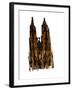 Cologne Cathedral, 1966, ink drawing,-null-Framed Giclee Print
