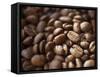 Colombia, Caldas, Manizales, Colombian Coffee Beans-Jane Sweeney-Framed Stretched Canvas