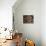 Colombia, Caldas, Manizales, Colombian Coffee Beans-Jane Sweeney-Stretched Canvas displayed on a wall