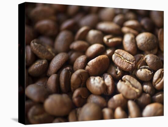 Colombia, Caldas, Manizales, Colombian Coffee Beans-Jane Sweeney-Stretched Canvas