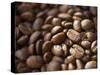 Colombia, Caldas, Manizales, Colombian Coffee Beans-Jane Sweeney-Stretched Canvas