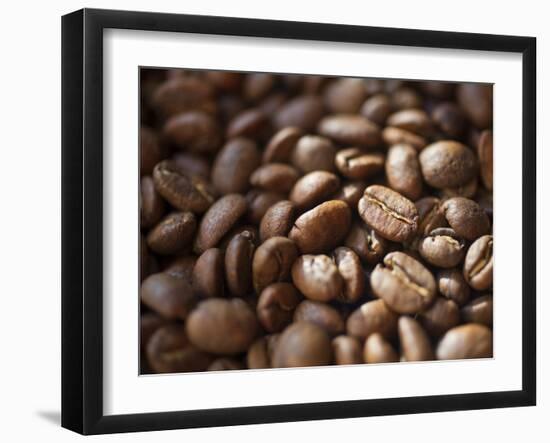Colombia, Caldas, Manizales, Colombian Coffee Beans-Jane Sweeney-Framed Premium Photographic Print