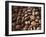 Colombia, Caldas, Manizales, Colombian Coffee Beans-Jane Sweeney-Framed Premium Photographic Print