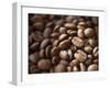 Colombia, Caldas, Manizales, Colombian Coffee Beans-Jane Sweeney-Framed Premium Photographic Print