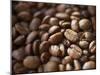 Colombia, Caldas, Manizales, Colombian Coffee Beans-Jane Sweeney-Mounted Premium Photographic Print