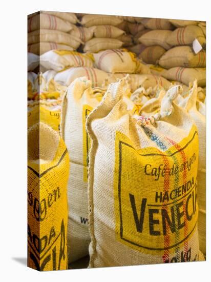 Colombia, Caldas, Manizales, Hacienda Venecia, Coffee in Sisal Bags Ready for Export-Jane Sweeney-Stretched Canvas