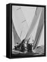 "Colombia" During Trial Race for the America's Cup-null-Framed Stretched Canvas