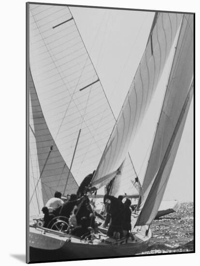 "Colombia" During Trial Race for the America's Cup-null-Mounted Photographic Print