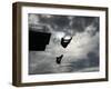 Colombia's Juan Guillermo Uran and Victor Ortega Dive to Win Gold in Men's Springboard Diving Event-null-Framed Photographic Print