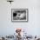 Colombia's Juan Guillermo Uran and Victor Ortega Dive to Win Gold in Men's Springboard Diving Event-null-Framed Photographic Print displayed on a wall