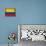 Colombia-David Bowman-Stretched Canvas displayed on a wall