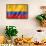 Colombian Flag-daboost-Framed Stretched Canvas displayed on a wall