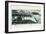 Colombo Harbour, Ceylon, Early 20th Century-null-Framed Giclee Print