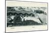 Colombo Harbour, Ceylon, Early 20th Century-null-Mounted Giclee Print