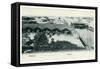 Colombo Harbour, Ceylon, Early 20th Century-null-Framed Stretched Canvas