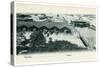 Colombo Harbour, Ceylon, Early 20th Century-null-Stretched Canvas