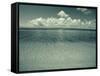 Colon Island Star Beach, Bocas Del Toro Province, Panama-Jane Sweeney-Framed Stretched Canvas