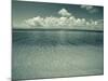 Colon Island Star Beach, Bocas Del Toro Province, Panama-Jane Sweeney-Mounted Photographic Print