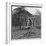 Colonel Afsurul Mulk on a Tiger Hunt, India, 1900s-null-Framed Giclee Print