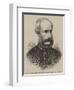 Colonel Hogg, the Chairman of the Metropolitan Board of Works-null-Framed Giclee Print