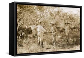 Colonel Percy Harrison Fawcett (1867-1925) in Brazil, 1925-English Photographer-Framed Stretched Canvas