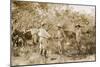Colonel Percy Harrison Fawcett (1867-1925) in Brazil, 1925-English Photographer-Mounted Photographic Print