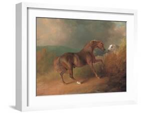 Colonel Thornton's Jupiter-Sawrey Gilpin-Framed Giclee Print