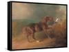 Colonel Thornton's Jupiter-Sawrey Gilpin-Framed Stretched Canvas