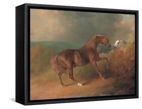 Colonel Thornton's Jupiter-Sawrey Gilpin-Framed Stretched Canvas