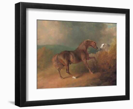 Colonel Thornton's Jupiter-Sawrey Gilpin-Framed Giclee Print