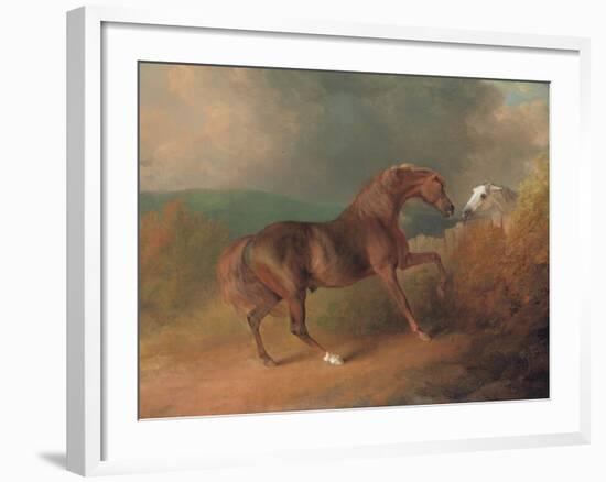 Colonel Thornton's Jupiter-Sawrey Gilpin-Framed Giclee Print