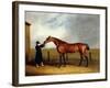 Colonel Udny's Bay Colt Truffle by Sorcerer Held by a Groom, 1815-Abraham Cooper-Framed Giclee Print